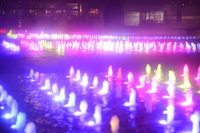 DSC_0718 (Large).JPG